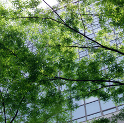 ISO14001F؎擾xRTeBO