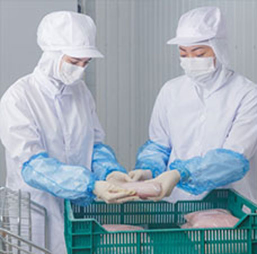 JFSKi JFS-A,JFS-B,JFS-C̃C[W