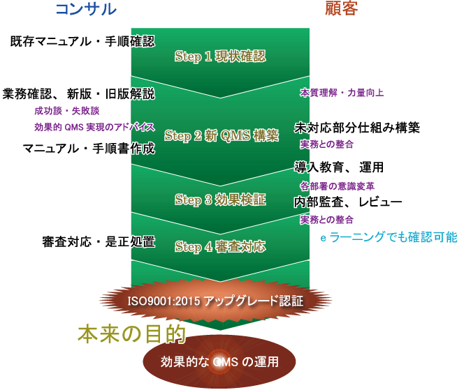 TPSISO9001:2015RTeBOt[
